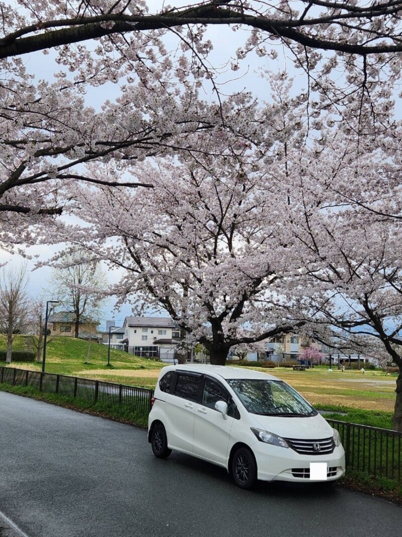 ホンダ フリード フレックス_5人乗り（CVT_1.5)