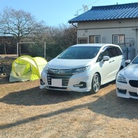 ホンダ オデッセイ アブソルート・EX ホンダセンシング_7人乗り(CVT_2.4)