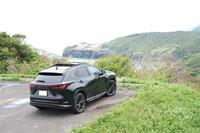 レクサス NXハイブリッド 350h“Fスポーツ”(CVT_2.5)