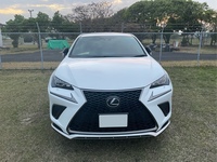 レクサス NX 300“Fスポーツ”_AWD(ECT_2.0)