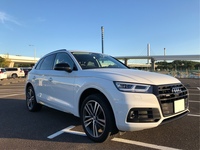 アウディ Q5 Q5 TDI ファーストエディション ブラックスタイリング_RHD_4WD(AT_2.0)