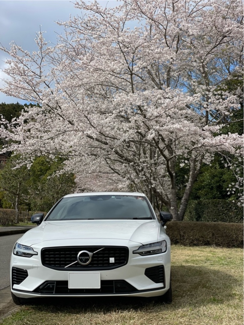 ボルボ S60 プラグインハイブリッド T8 ポールスター エンジニアード_RHD_AWD(AT_2.0)