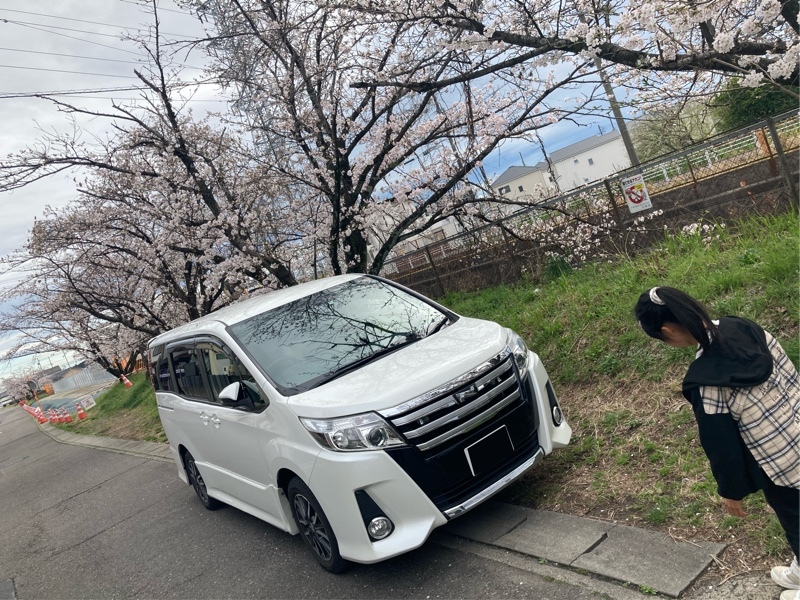 トヨタ ノア Si_8人乗り(CVT_2.0)