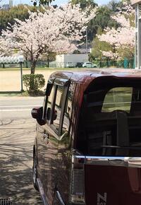 ホンダ N-BOXカスタム G・SSパッケージ(CVT_0.66)