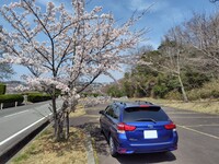トヨタ カローラフィールダー EX(MT_1.5)