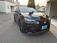 レクサス NX 350“Fスポーツ”_AWD(AT_2.4)