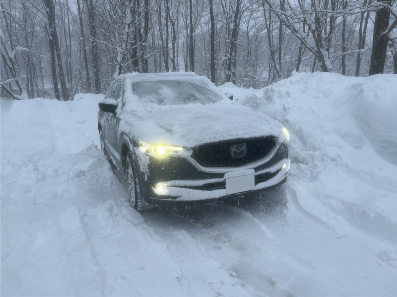 マツダ CX-5 XD Lパッケージ_4WD(AT_2.2)