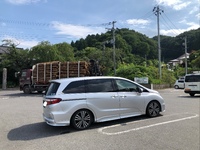 ホンダ オデッセイ アブソルート_7人乗り(CVT_2.4)