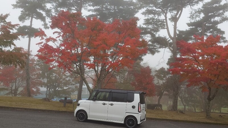 ホンダ N-BOXカスタム コーディネートスタイル 2トーン(CVT_0.66)