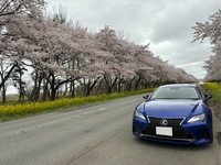レクサス RC 300“Fスポーツ”(SPDS_2.0)