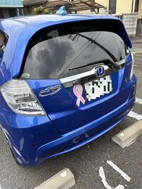 ホンダ フィットハイブリッド ハイブリッド・10th アニバーサリー(CVT_1.3)