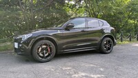 アルファロメオ ステルヴィオ 2.9 V6 ビターボ クアドリフォリオ_RHD_4WD(AT_2.9)