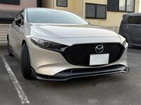 マツダ MAZDA3 ファストバックハイブリッド 20S レトロスポーツエディション(MT_2.0)