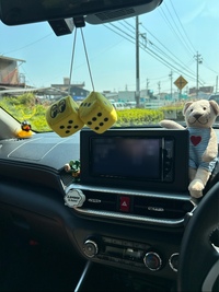 トヨタ ライズ Z(CVT_1.0)