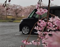 ダイハツ タントカスタム RS_4WD(CVT_0.66)