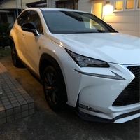 レクサス NX 300“Fスポーツ”_AWD(ECT_2.0)