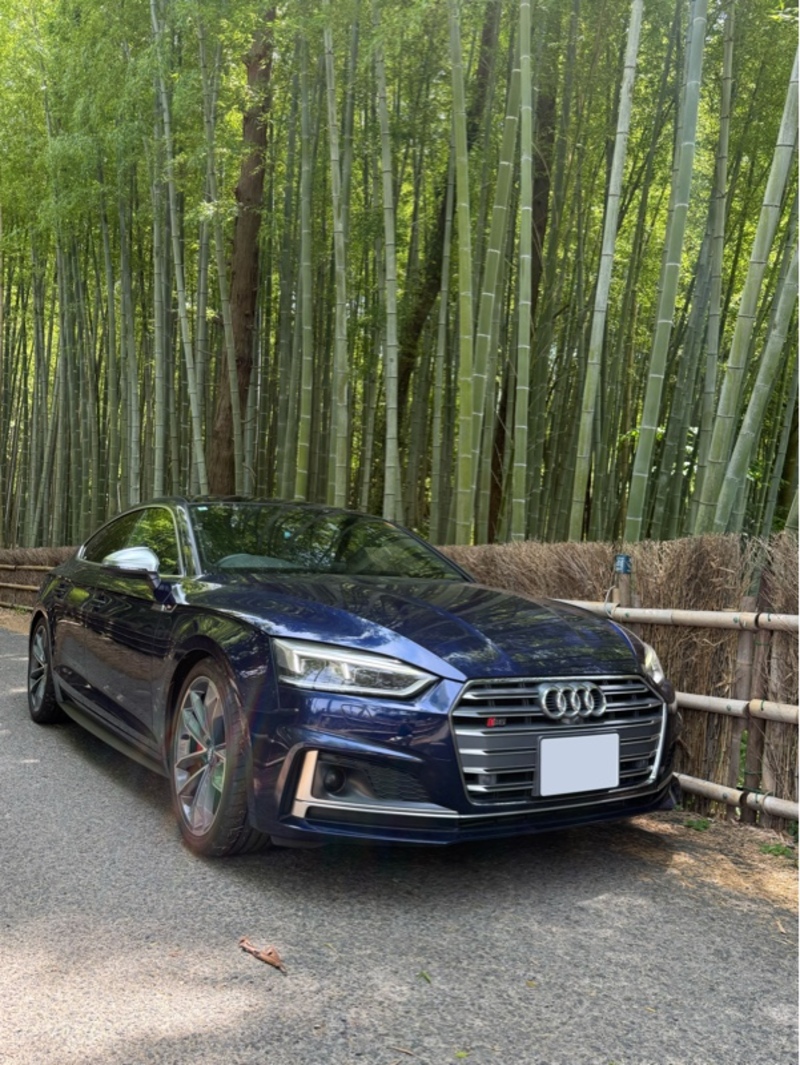 アウディ S5 スポーツバック