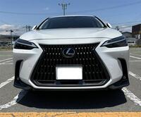 レクサス NX 250“バージョンL”(AT_2.5)