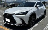 レクサス NX 250“バージョンL”(AT_2.5)