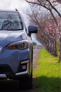 スバル XV アドバンス_AWD(CVT_2.0)