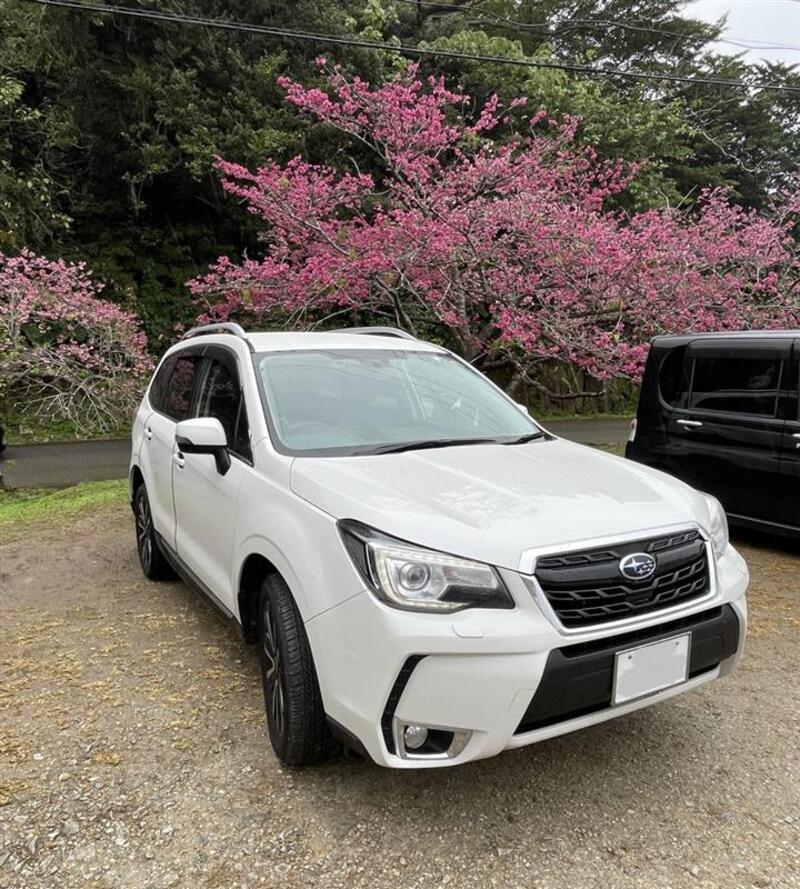 スバル フォレスター 2.0XT アイサイト スマートエディション_AWD（CVT_2.0）