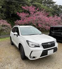 スバル フォレスター 2.0XT アイサイト スマートエディション_AWD（CVT_2.0）