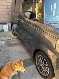 ホンダ N-BOXカスタム ターボ(CVT_0.66)