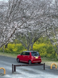 ホンダ N-ONE プレミアム ツアラー(CVT_0.66)