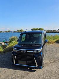 スバル シフォンカスタム RS(CVT_0.66)