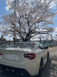 トヨタ 86