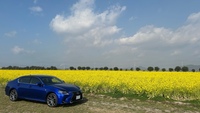 レクサス GS 350“Fスポーツ”_AWD(ECT_3.5)