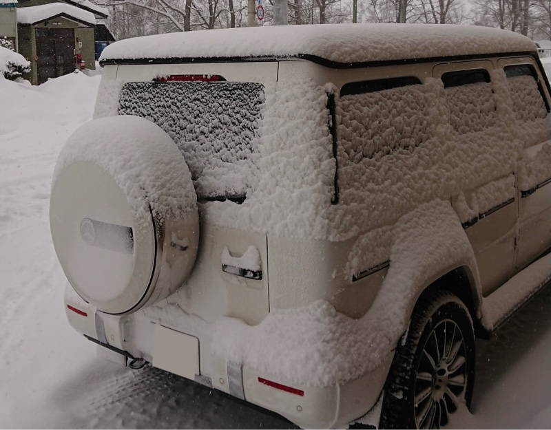 メルセデス・ベンツ Gクラス G350d_RHD_4WD(AT_3.0)