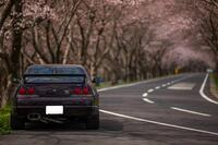 日産 スカイラインＧＴ‐Ｒ GT-R_Vスペック(MT_2.6)