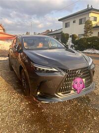 レクサス NXハイブリッド 350h“バージョンL”_E-Four(CVT_2.5)