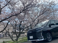 トヨタ ヴォクシー S-Z_7人乗り_4WD(CVT_2.0)
