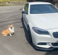 BMW 5シリーズ セダン
