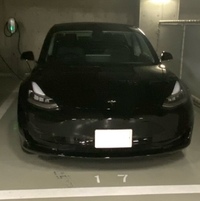 テスラ モデル3 スタンダードレンジプラス_RHD