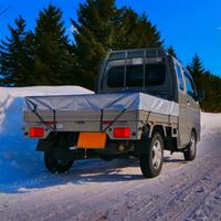 スズキ スーパーキャリイ X_4WD(MT_0.66)