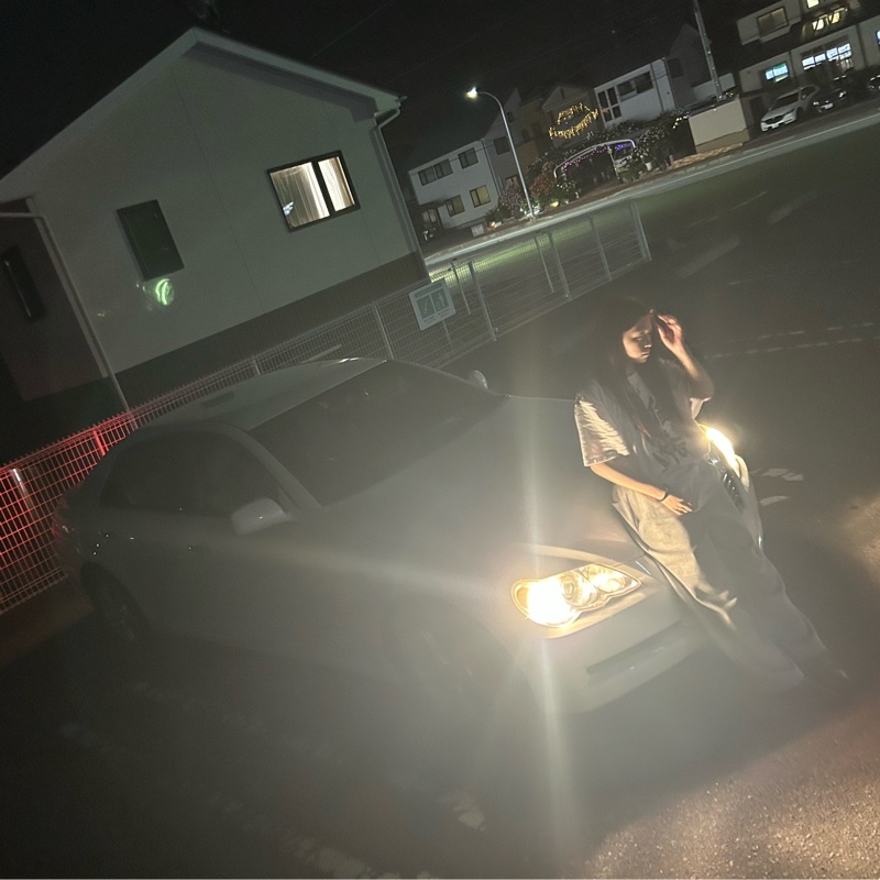トヨタ マークX 250G_Four“Fパッケージ”_4WD(AT_2.5)