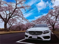 メルセデス・ベンツ Cクラス ステーションワゴン C200 ステーションワゴン スポーツ_RHD(AT_2.0)