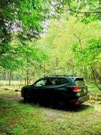スバル フォレスター XTエディション（パワーリヤゲート装着車）_AWD（CVT_1.8）