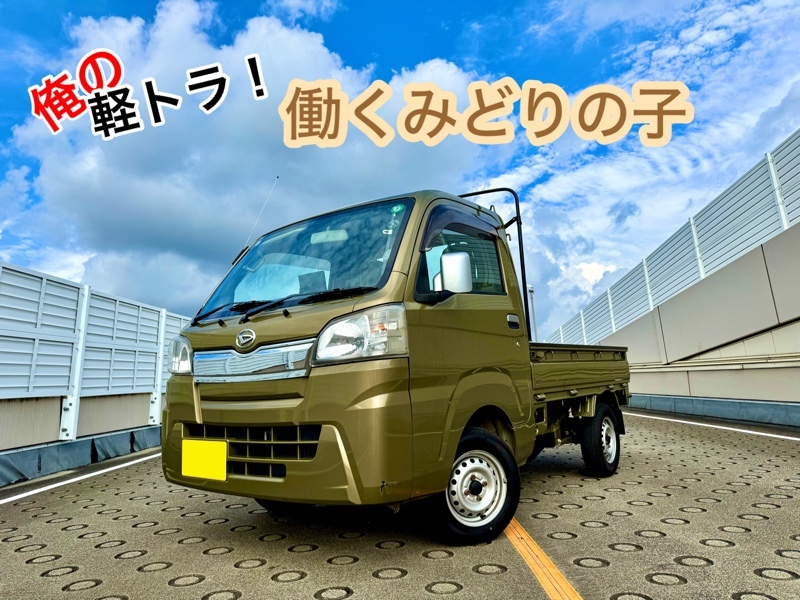 ダイハツ ハイゼットトラック エクストラ(MT_0.66)