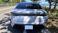 BYD シール シール_RHD