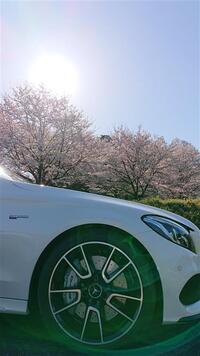 メルセデスAMG Cクラス ステーションワゴン メルセデスAMG C43 4マチック ステーションワゴン_RHD_4WD(AT_3.0)