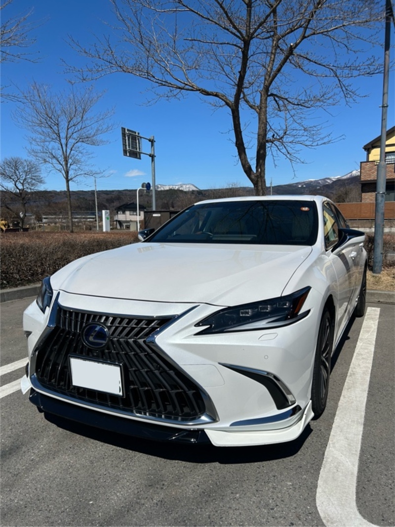 レクサス ESハイブリッド 300h(CVT_2.5)