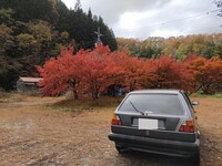 フォルクスワーゲン ゴルフ (ハッチバック) CLi_RHD(5ドア_MT_1.8)