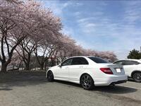 メルセデス・ベンツ Cクラス セダン C200 ブルーエフィシェンシー アバンギャルド_RHD(AT_1.8)