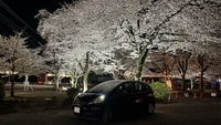 ホンダ フィット 1.3G スマートセレクション(MT_1.3)