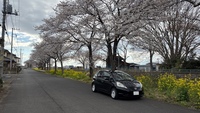 ホンダ フィット 1.3G スマートセレクション(MT_1.3)