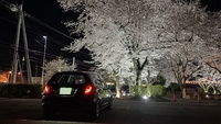 ホンダ フィット 1.3G スマートセレクション(MT_1.3)